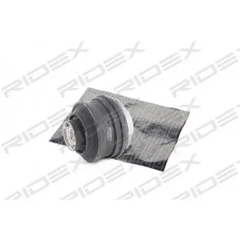 Support moteur avant gauche RIDEX OEM 2022400117