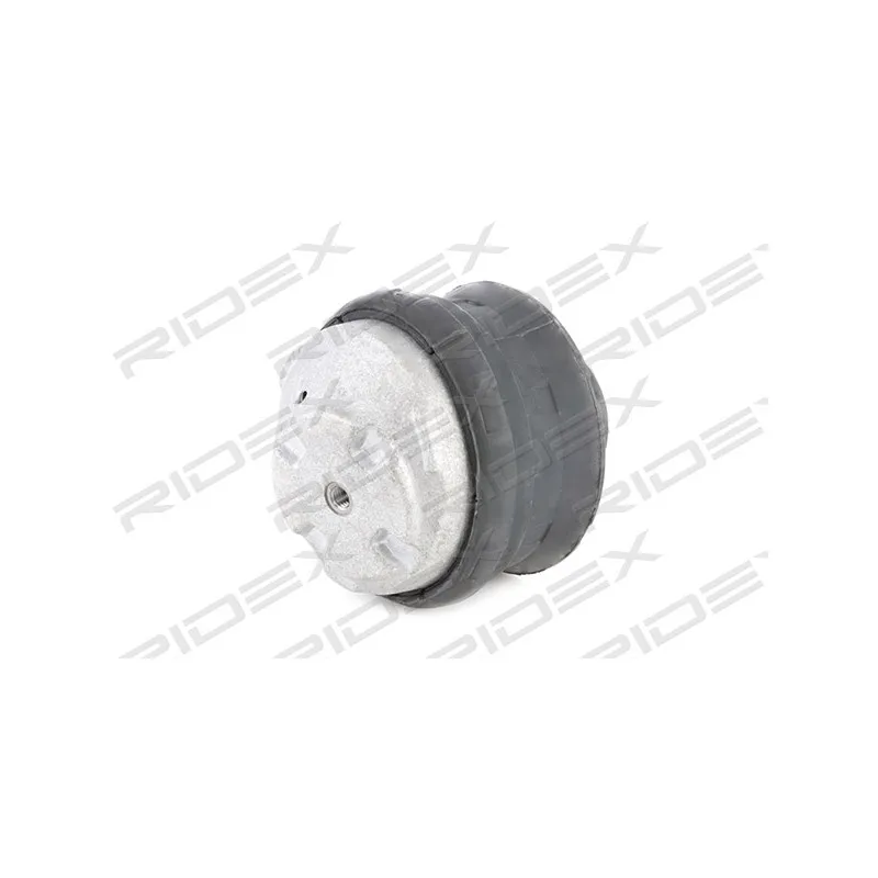 Support moteur avant gauche RIDEX 247E0002 - Visuel 1
