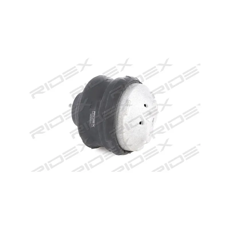 Support moteur avant gauche RIDEX 247E0002 - Visuel 2
