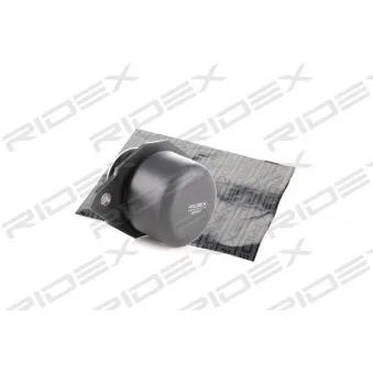 Support moteur arrière gauche RIDEX OEM 1H0199402