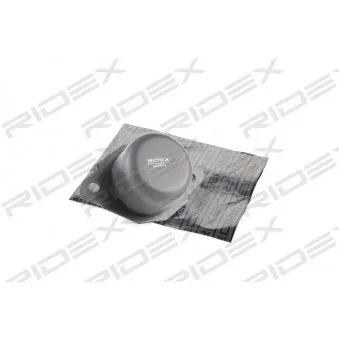 Support moteur RIDEX OEM 191199402C
