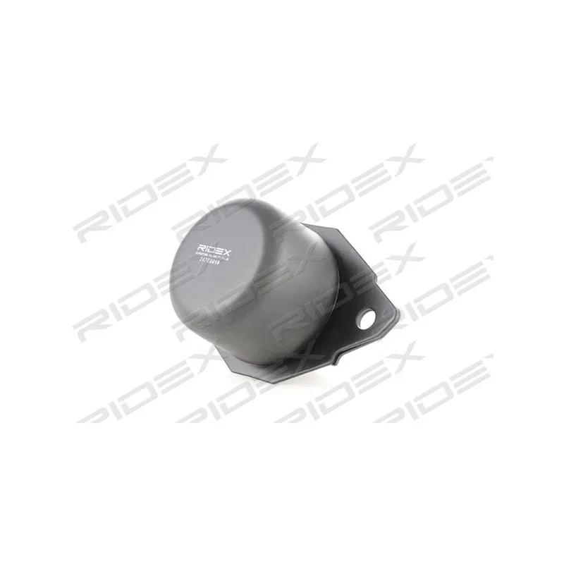 Support moteur RIDEX 247E0019 - Visuel 1