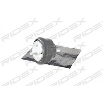 RIDEX 247E0043 - Support moteur