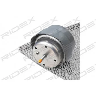 Support moteur RIDEX OEM 8E0199379AF