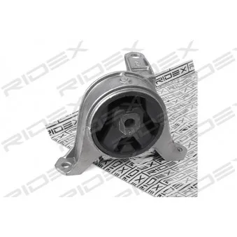 RIDEX 247E0174 - Support moteur avant droit