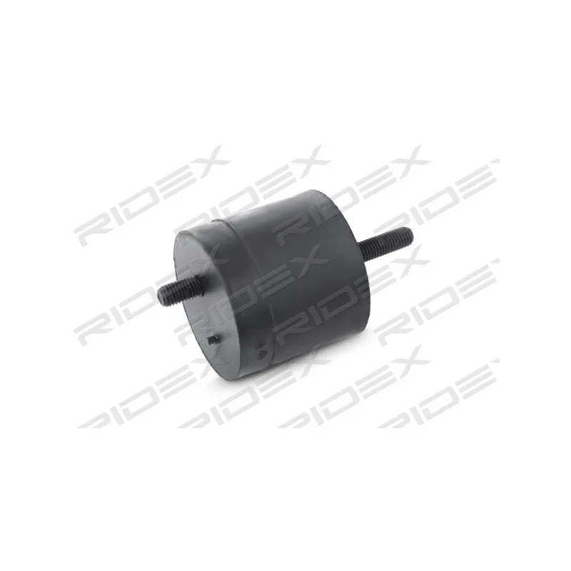 Support moteur RIDEX 247E0199 - Visuel 2