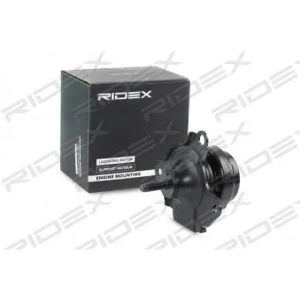 RIDEX 247E0356 - Support moteur
