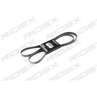 RIDEX 305P0149 - Courroie trapézoïdale à nervures