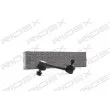 RIDEX 3229S0028 - Entretoise/tige, stabilisateur