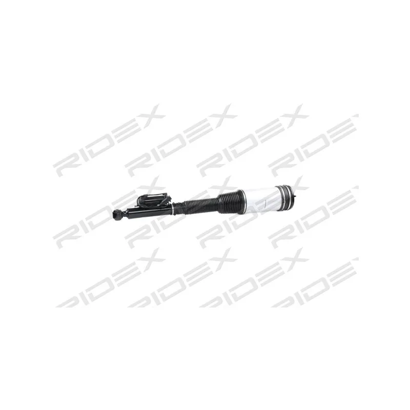 Vérin RIDEX 4118A0005 - Visuel 2