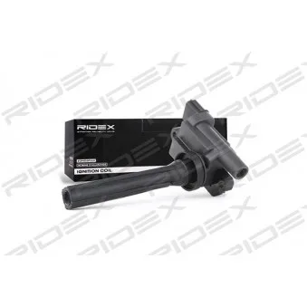 Bobine d'allumage RIDEX OEM 3341066D01000