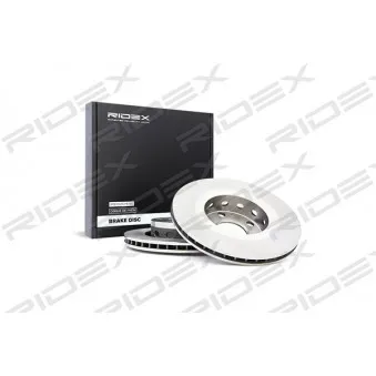 RIDEX 82B0491 - Jeu de 2 disques de frein arrière