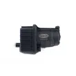 SCT GERMANY ST 6100 - Filtre à carburant
