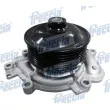 FRECCIA WP0157 - Pompe à eau