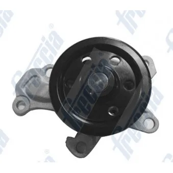 Pompe à eau FRECCIA OEM 1610009640