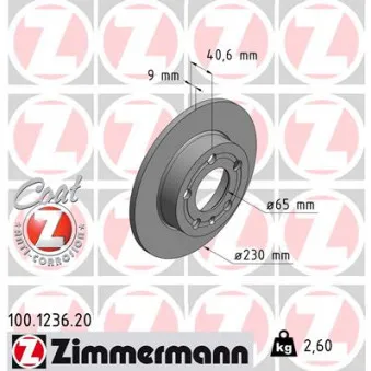 ZIMMERMANN 100.1236.20 - Jeu de 2 disques de frein arrière