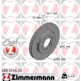ZIMMERMANN 600.3244.20 - Jeu de 2 disques de frein arrière