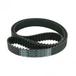 SKF VKMT 92518 - Courroie crantée