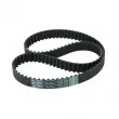 SKF VKMT 93500 - Courroie crantée