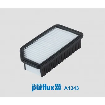 Filtre à air PURFLUX OEM 250052810