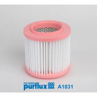 PURFLUX A1831 - Filtre à air