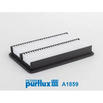 Filtre à air PURFLUX A1859
