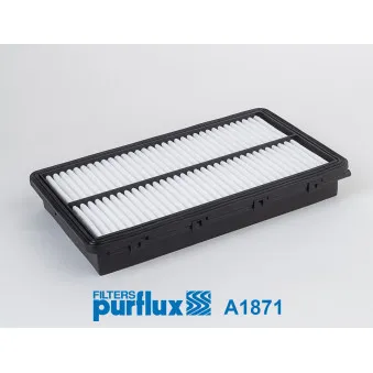 Filtre à air PURFLUX OEM DP1110.10.0839