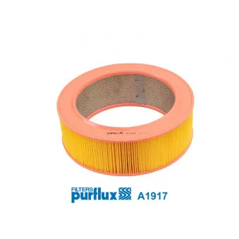 PURFLUX A1917 - Filtre à air