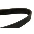 DAYCO 6PK1873EE - Courroie trapézoïdale à nervures