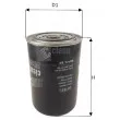 Filtre à carburant CLEAN FILTERS [DN1931]