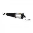 Arnott AS-2560 - Armortisseur pneumatique avant droit