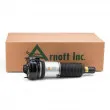 Arnott AS-2864 - Armortisseur pneumatique