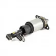 Arnott AS-3231 - Armortisseur pneumatique