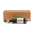 Arnott AS-3231 - Armortisseur pneumatique