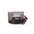 Arnott P-2830 - Compresseur, système d'air comprimé