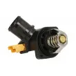 THERMOTEC D2C007TT - Thermostat d'eau
