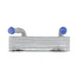 TEKNÖR CCL-AU-024 - Radiateur d'huile de boîte automatique