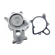 TEKNÖR CPW-BM-030 - Pompe à eau