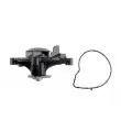 TEKNÖR CPW-BM-038 - Pompe à eau