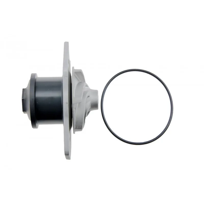 Pompe à eau TEKNÖR CPW-CH-005 - Visuel 2