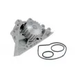 TEKNÖR CPW-CT-024 - Pompe à eau