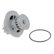 TEKNÖR CPW-DW-002 - Pompe à eau