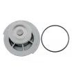 TEKNÖR CPW-DW-002 - Pompe à eau