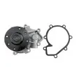 TEKNÖR CPW-DW-014 - Pompe à eau