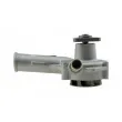 SAMAXX CPW-FR-021 - Pompe à eau