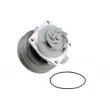 TEKNÖR CPW-FT-054 - Pompe à eau
