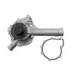 TEKNÖR CPW-ME-012 - Pompe à eau