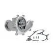 TEKNÖR CPW-NS-084 - Pompe à eau