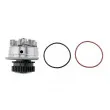 TEKNÖR CPW-NS-085 - Pompe à eau