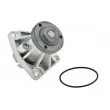 TEKNÖR CPW-PL-027 - Pompe à eau